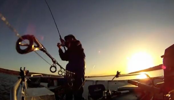 VIDEO: Double hookup on monster kings!
